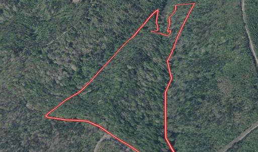 Photo #18 of Off of Brights Road, Pittsville, VA 30.4 acres