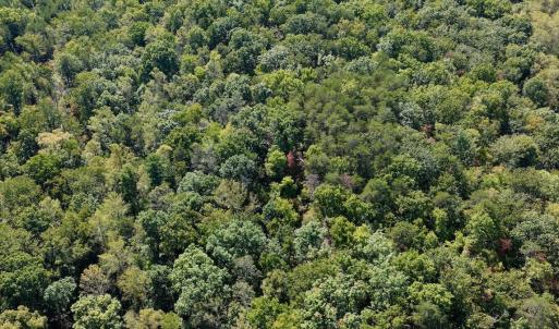 Photo #36 of Off of Brights Road, Pittsville, VA 30.4 acres