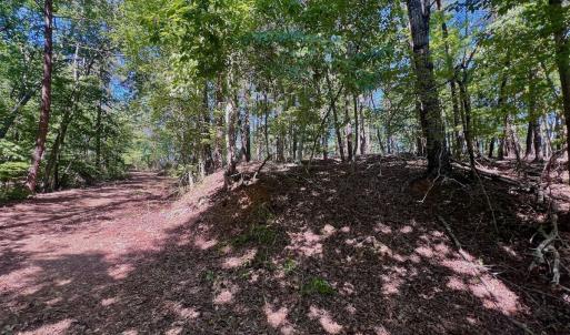 Photo #16 of Off of Brights Road, Pittsville, VA 30.4 acres
