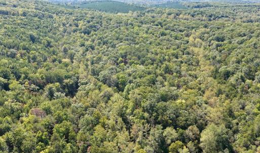 Photo #31 of Off of Brights Road, Pittsville, VA 30.4 acres