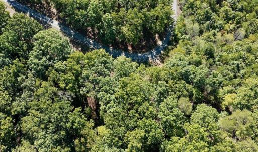 Photo #41 of Off of Brights Road, Pittsville, VA 30.4 acres