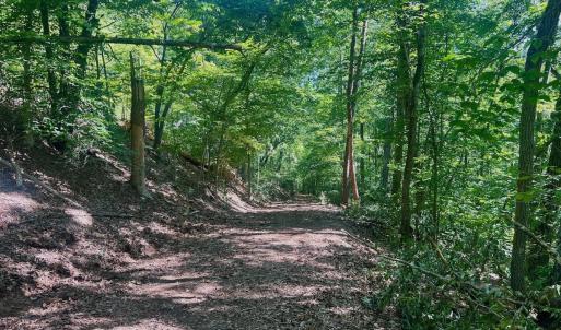 Photo #43 of Off of Brights Road, Pittsville, VA 30.4 acres