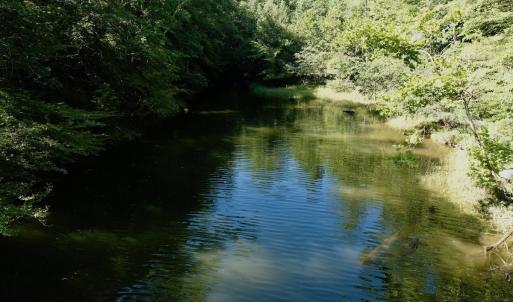 Photo #48 of Off of Brights Road, Pittsville, VA 30.4 acres