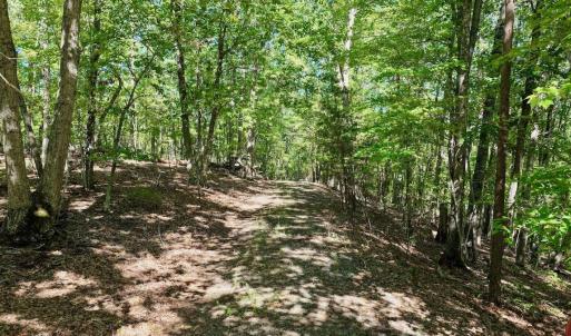Photo #50 of Off of Brights Road, Pittsville, VA 30.4 acres