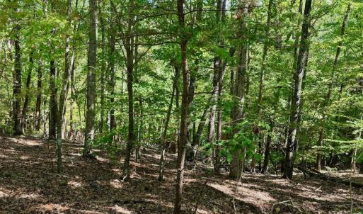 Photo #53 of Off of Brights Road, Pittsville, VA 30.4 acres