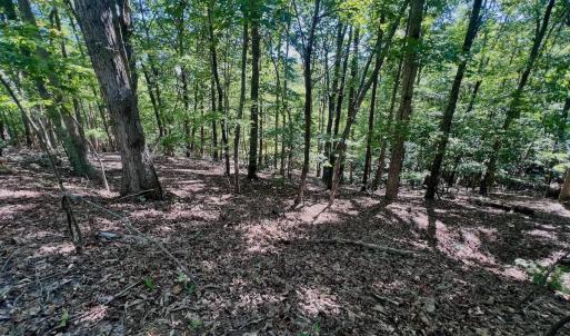 Photo #63 of Off of Brights Road, Pittsville, VA 30.4 acres