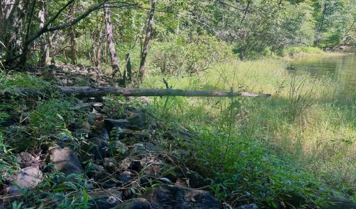 Photo #64 of Off of Brights Road, Pittsville, VA 30.4 acres