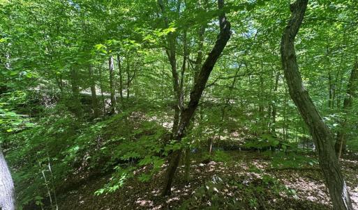 Photo #13 of Off of  Jones Overlook , Howardsville, VA 8.2 acres