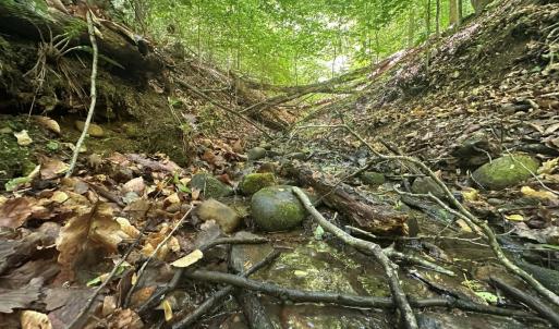 Photo #5 of Off of  Jones Overlook , Howardsville, VA 8.2 acres