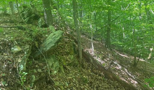Photo #22 of Off of  Jones Overlook , Howardsville, VA 8.2 acres