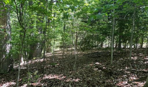Photo #25 of Off of  Jones Overlook , Howardsville, VA 8.2 acres