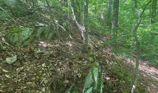 Photo #29 of Off of  Jones Overlook , Howardsville, VA 8.2 acres
