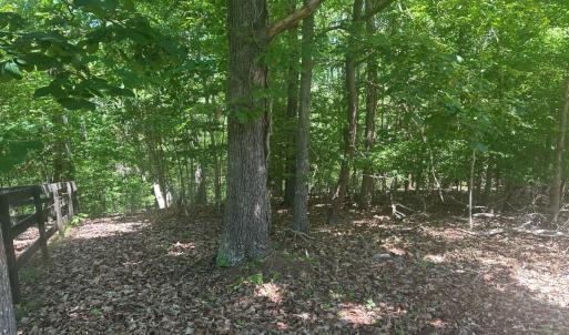Photo #32 of Off of  Jones Overlook , Howardsville, VA 8.2 acres