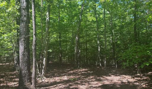 Photo #36 of Off of  Jones Overlook , Howardsville, VA 8.2 acres