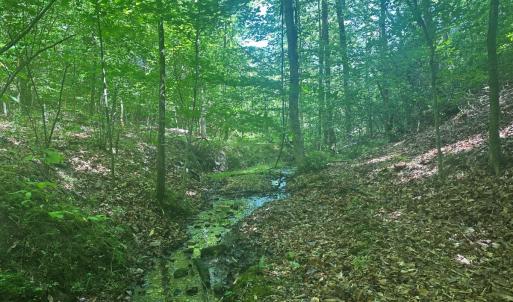 Photo #42 of Off of  Jones Overlook , Howardsville, VA 8.2 acres