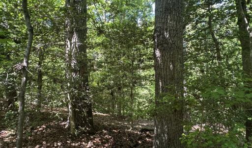 Photo #44 of Off of  Jones Overlook , Howardsville, VA 8.2 acres