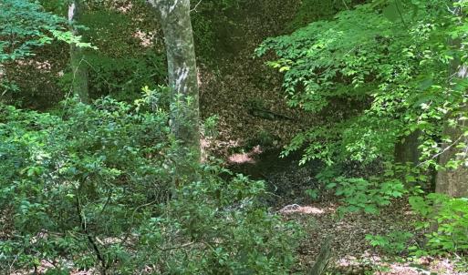 Photo #48 of Off of  Jones Overlook , Howardsville, VA 8.2 acres