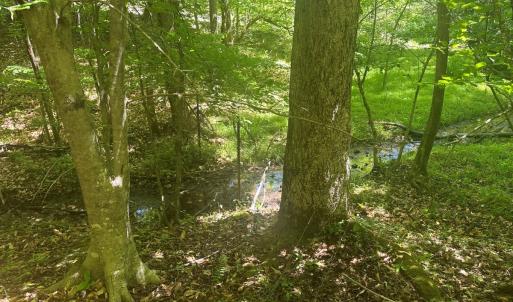 Photo #50 of Off of  Jones Overlook , Howardsville, VA 8.2 acres