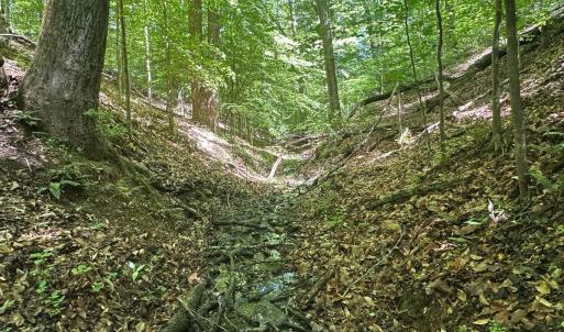 Photo #52 of Off of  Jones Overlook , Howardsville, VA 8.2 acres
