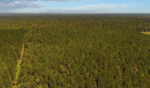 Photo #10 of Off of White Oak River Rd. , Maysville, NC 106.0 acres