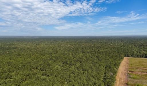 Photo #12 of Off of White Oak River Rd. , Maysville, NC 106.0 acres