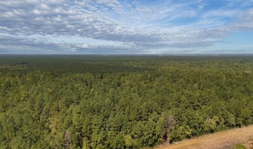 Photo #13 of Off of White Oak River Rd. , Maysville, NC 106.0 acres