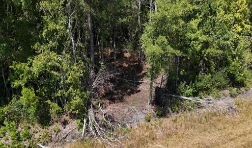 Photo #14 of Off of White Oak River Rd. , Maysville, NC 106.0 acres