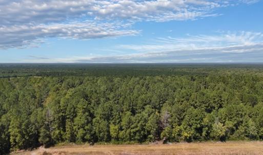 Photo #18 of Off of White Oak River Rd. , Maysville, NC 106.0 acres