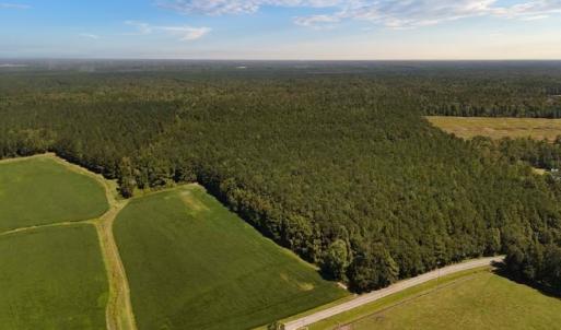Photo #2 of Off of White Oak River Rd. , Maysville, NC 106.0 acres