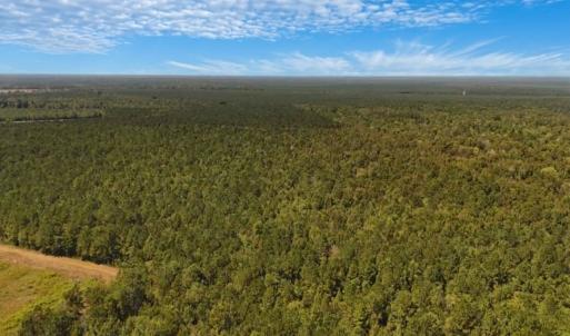Photo #20 of Off of White Oak River Rd. , Maysville, NC 106.0 acres