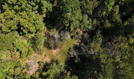 Photo #21 of Off of White Oak River Rd. , Maysville, NC 106.0 acres