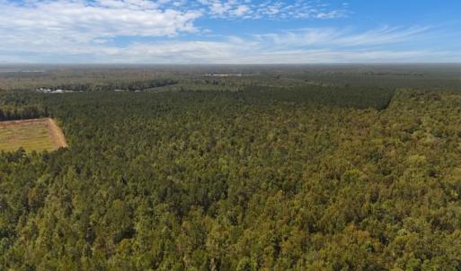 Photo #24 of Off of White Oak River Rd. , Maysville, NC 106.0 acres