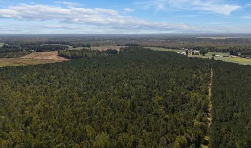 Photo #26 of Off of White Oak River Rd. , Maysville, NC 106.0 acres