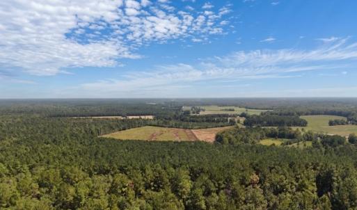 Photo #31 of Off of White Oak River Rd. , Maysville, NC 106.0 acres