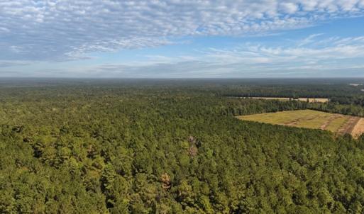 Photo #32 of Off of White Oak River Rd. , Maysville, NC 106.0 acres