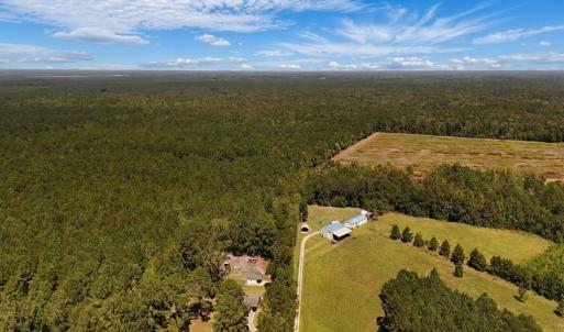 Photo #38 of Off of White Oak River Rd. , Maysville, NC 106.0 acres