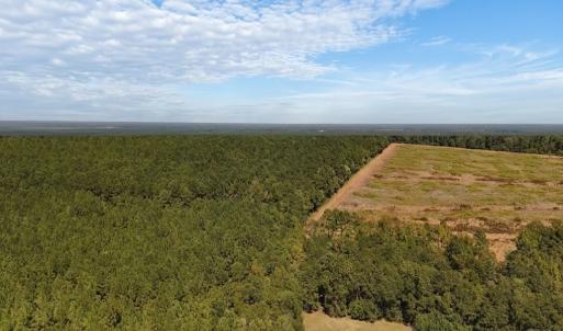 Photo #39 of Off of White Oak River Rd. , Maysville, NC 106.0 acres