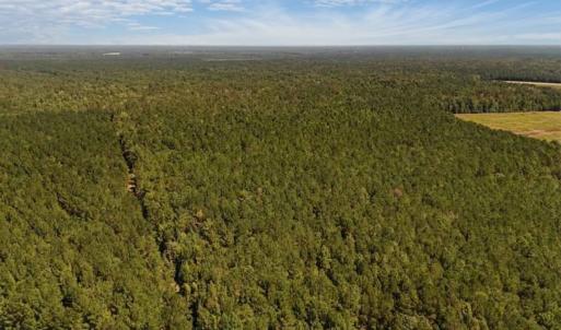 Photo #5 of Off of White Oak River Rd. , Maysville, NC 106.0 acres