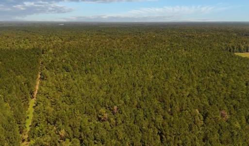 Photo #10 of Off of White Oak River Rd. , Maysville, NC 106.0 acres