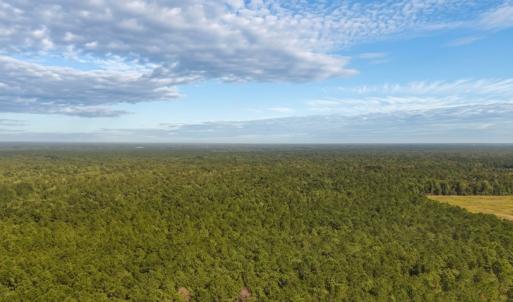 Photo #11 of Off of White Oak River Rd. , Maysville, NC 106.0 acres