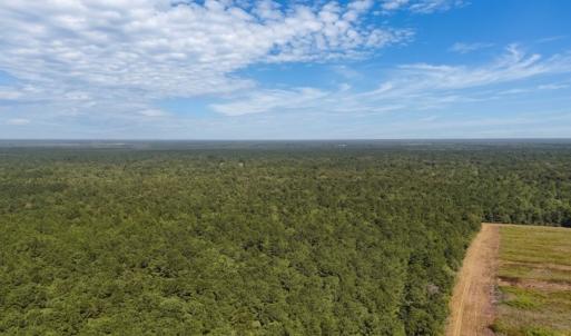 Photo #12 of Off of White Oak River Rd. , Maysville, NC 106.0 acres