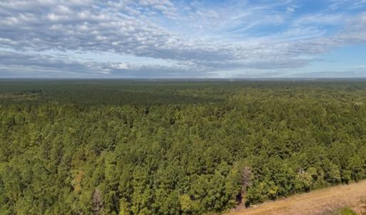 Photo #13 of Off of White Oak River Rd. , Maysville, NC 106.0 acres
