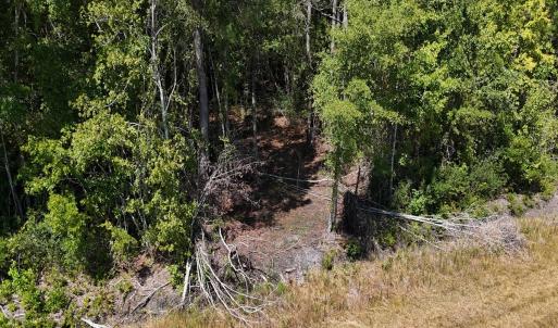 Photo #14 of Off of White Oak River Rd. , Maysville, NC 106.0 acres