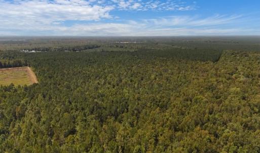 Photo #24 of Off of White Oak River Rd. , Maysville, NC 106.0 acres