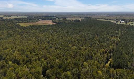 Photo #27 of Off of White Oak River Rd. , Maysville, NC 106.0 acres