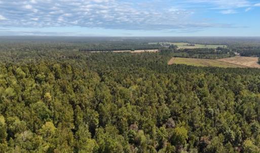 Photo #29 of Off of White Oak River Rd. , Maysville, NC 106.0 acres