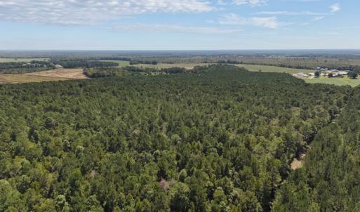 Photo #30 of Off of White Oak River Rd. , Maysville, NC 106.0 acres