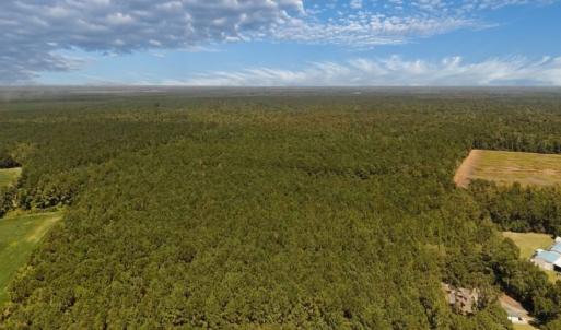 Photo #36 of Off of White Oak River Rd. , Maysville, NC 106.0 acres
