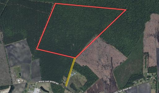 Photo #40 of Off of White Oak River Rd. , Maysville, NC 106.0 acres