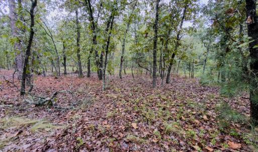 Photo #4 of 599 McDuffie Rd., Cameron, NC 1.5 acres